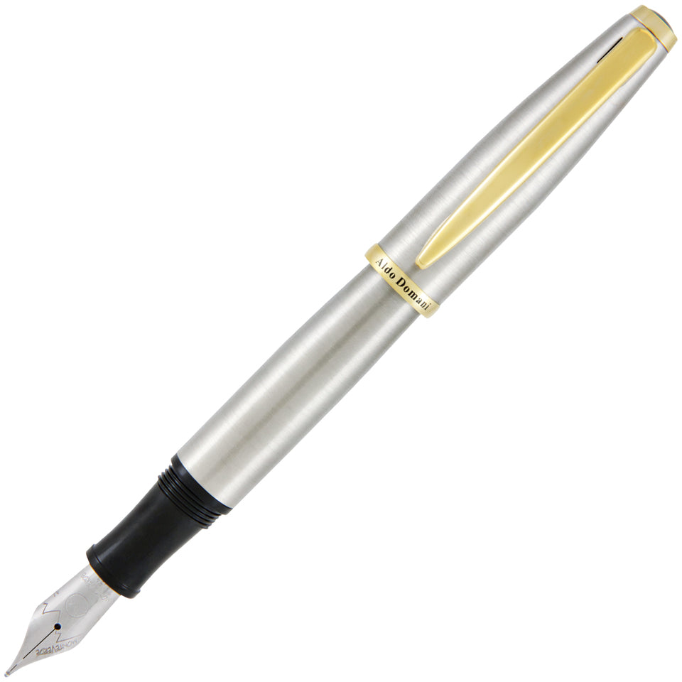 Monteverde  Aldo Domani Fountain Pen Brushed