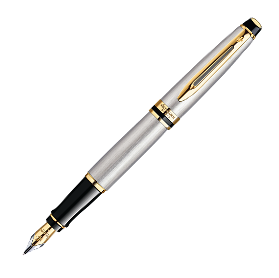 Waterman Expert Brushed Steel Gold Trim Fountain Pen